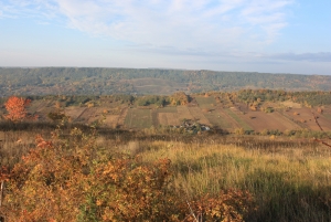 Imagini din localitatea Suceveni, comuna Bogdana