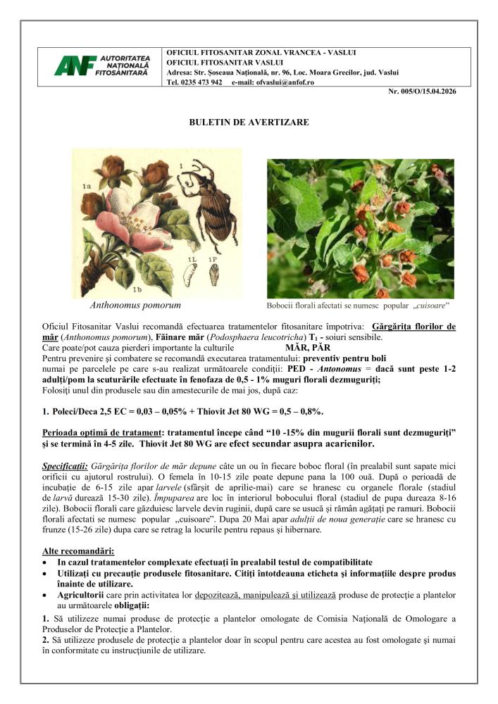 Oficiul Fitosanitar Vaslui recomandă efectuarea tratamentelor fitosanitare împotriva: Gărgărița florilor de măr, Făinare măr care pot cauza pierderi importante la culturile măr, păr (1)