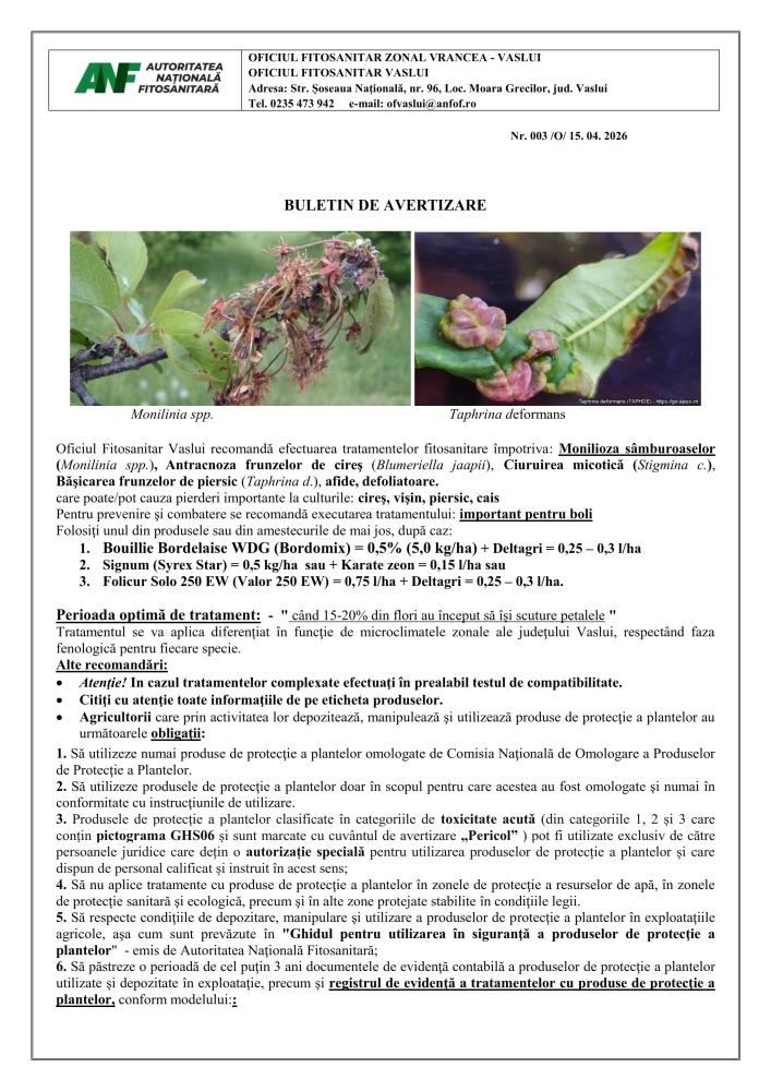 Oficiul Fitosanitar Vaslui recomandă efectuarea tratamentelor fitosanitare împotriva: Monilioza sâmburoaselor, Antracnoza frunzelor de cireș, Ciuruirea micotică, Bășicarea frunzelor de piersic care pot cauza pierderi importante la culturile cireș, vișin, piersic, cais (1)