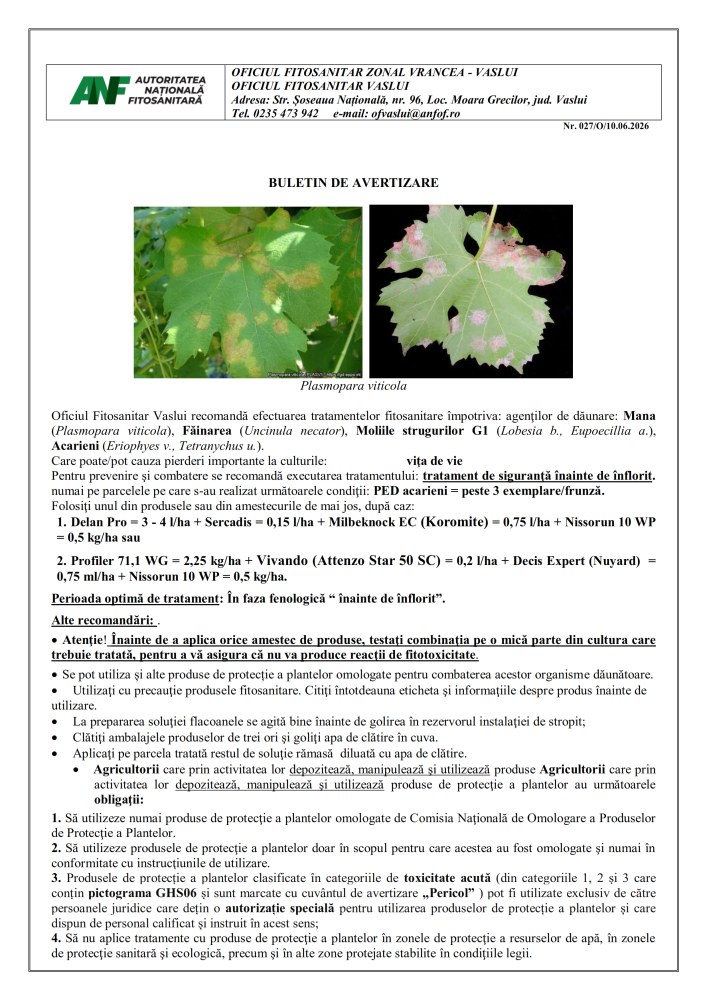 Oficiul Fitosanitar Vaslui recomandă efectuarea tratamentelor fitosanitare împotriva: Mana, Făinare, Moliile strugurilor G1, Acarieni care pot cauza pierderi importante la culturile vița de vie