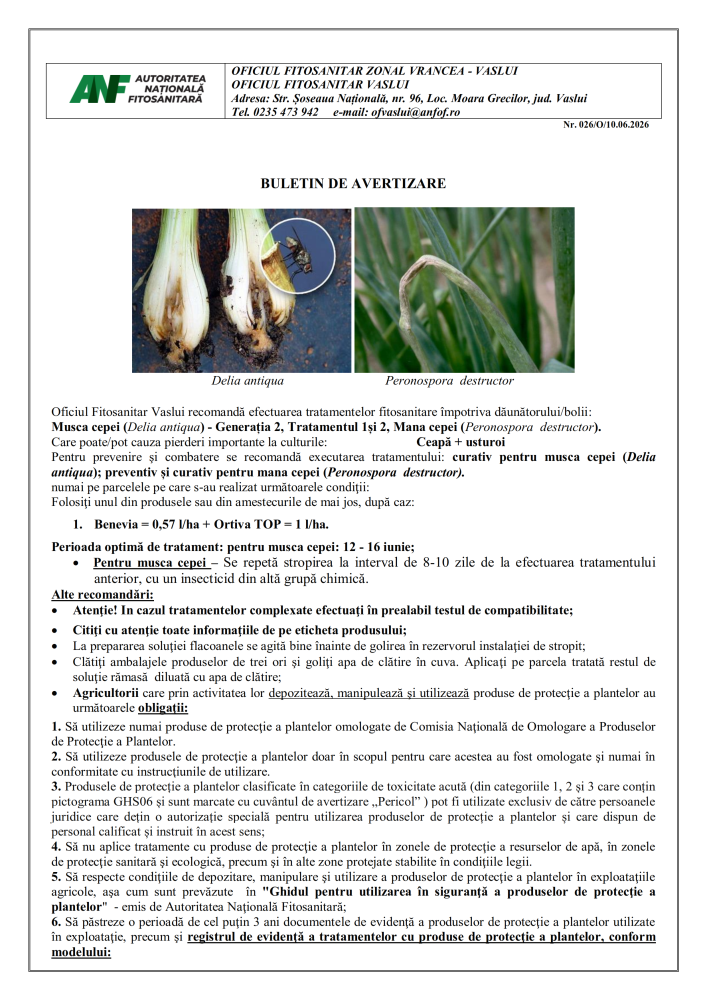 Oficiul Fitosanitar Vaslui recomandă efectuarea tratamentelor fitosanitare împotriva: Muscă ceapă - Generația 2, Tratamentul 1 și 2, Mană ceapă care pot cauza pierderi importante la culturile de ceapă și usturoi