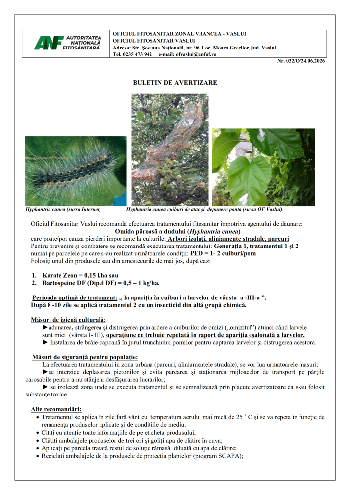 Oficiul Fitosanitar Vaslui recomandă efectuarea tratamentelor fitosanitare împotriva agentului de dăunare: Omida păroasă a dudului care poate cauza pierderi importante la culturile: Arbori izolați, aliniamente stradale, parcuri