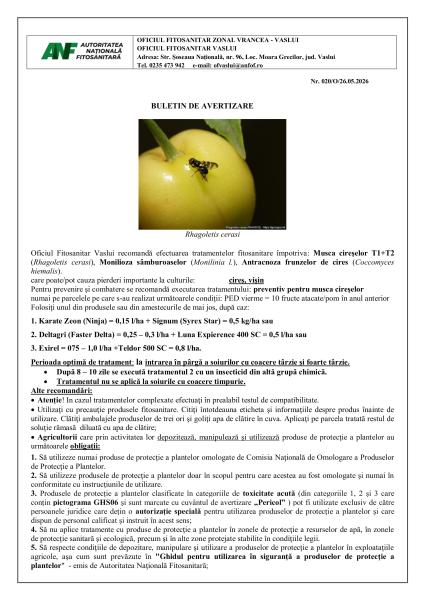 Oficiul Fitosanitar Vaslui recomandă efectuarea tratamentelor fitosanitare împotriva: Musca cireșelor T1+T2, Monilioza sâmburoaselor, Antracnoza frunzelor de cireș care pot cauza pierderi importante la culturile cireș, vișin (1)