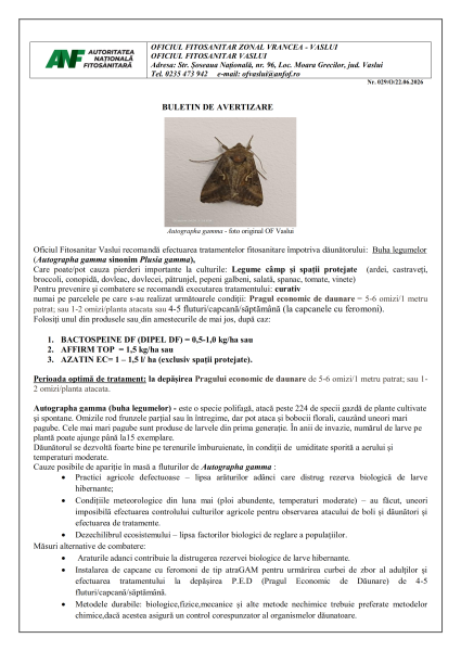 Oficiul Fitosanitar Vaslui recomandă efectuarea tratamentelor fitosanitare împotriva dăunătorului: Buha legumelor care poate cauza pierderi importante la culturile de Legume de câmp și spații închise (ardei, castraveți, broccoli, conopida, dovleac, dovlecei, pătrunjel, pepeni galbeni, salată, spanac, tomate, vinete)
